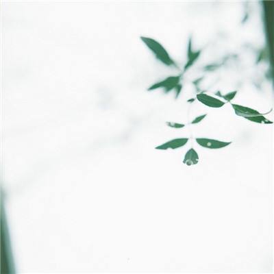 曙光之城手游破解版下载